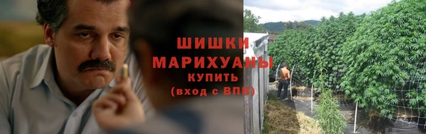 шишки Алексин