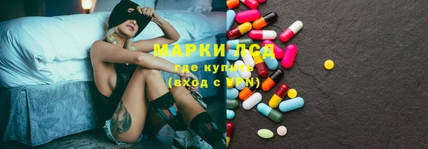 шишки Алексин