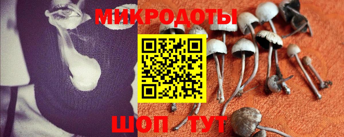 Галлюциногенные грибы мицелий Пермь
