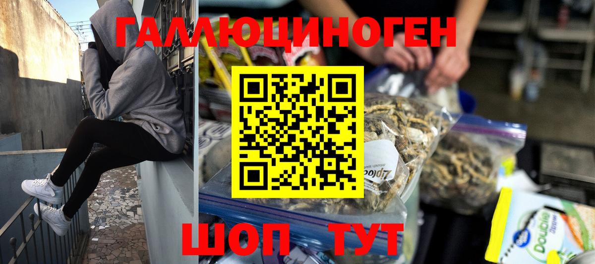 Пермь  Псилоцибиновые грибы Psilocybe  Вход с VPN 